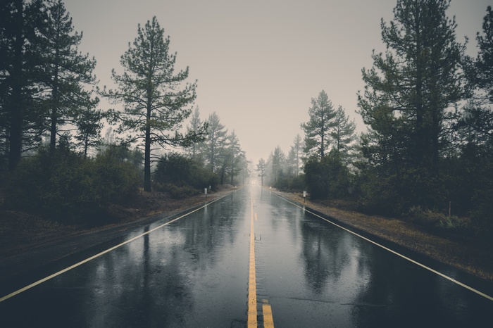 Wet road with trees and reflections in the rain