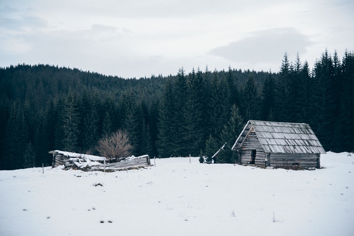 Abandoned wooden houses in a snowy forest