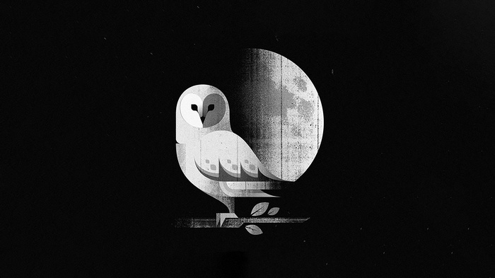 Minimalist owl perched on a branch with a moon