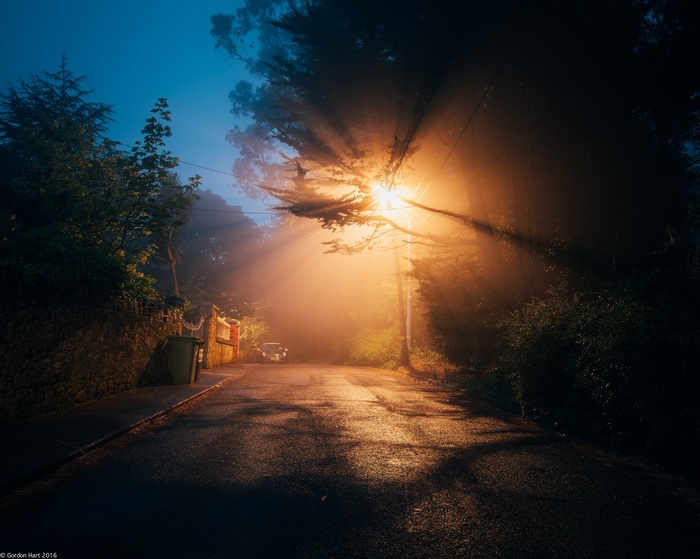 Street light beams through fog on a road at night