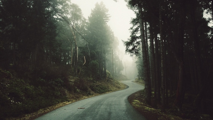 Winding road through a foggy forest