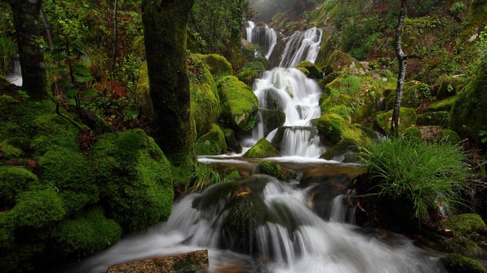 Waterfall cascading over moss-covered rocks in a forest