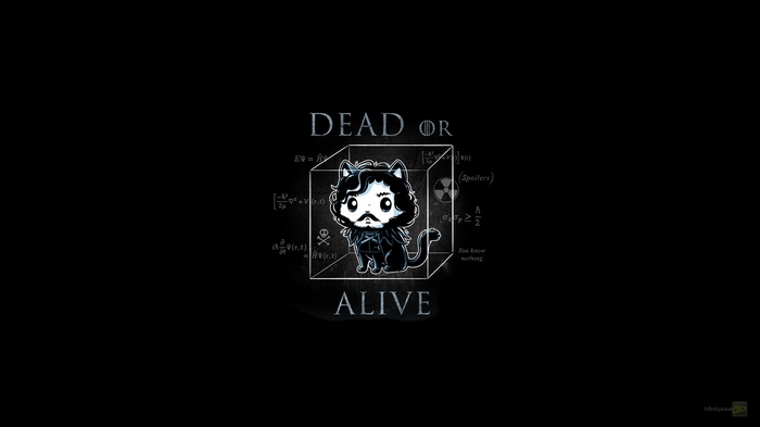 Jon Snow Cat in a Box - Game of Thrones Humor