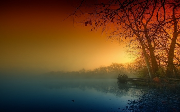 Misty lake at sunset with silhouetted trees
