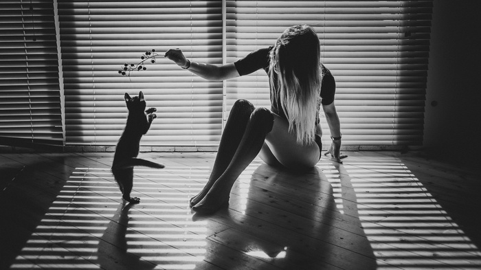 Woman playing with a cat near a window