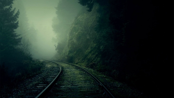 Railway tracks winding through a misty forest