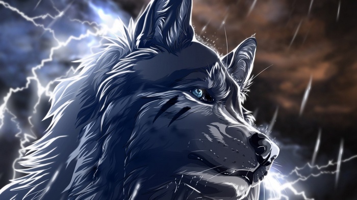 wolf, lightning