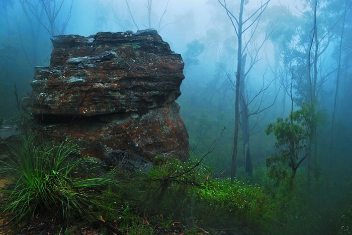 Misty forest with a large rock and grass
