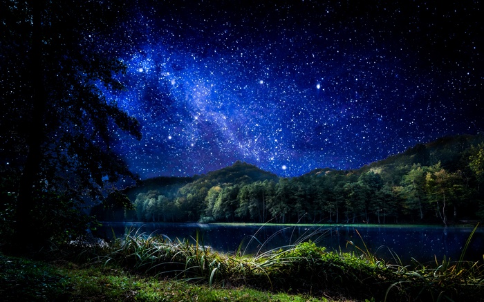 Night landscape with stars over a forest and lake