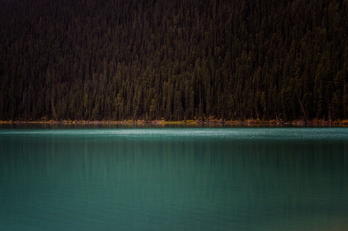 Turquoise lake in front of a dense forest