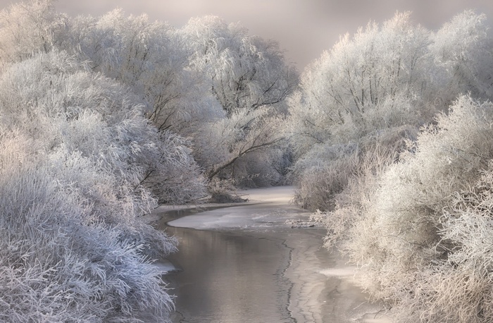 frost, photography, Romania, river, Transylvania, trees, Ski, landscape, nature, snow, forest, white, winter, cold