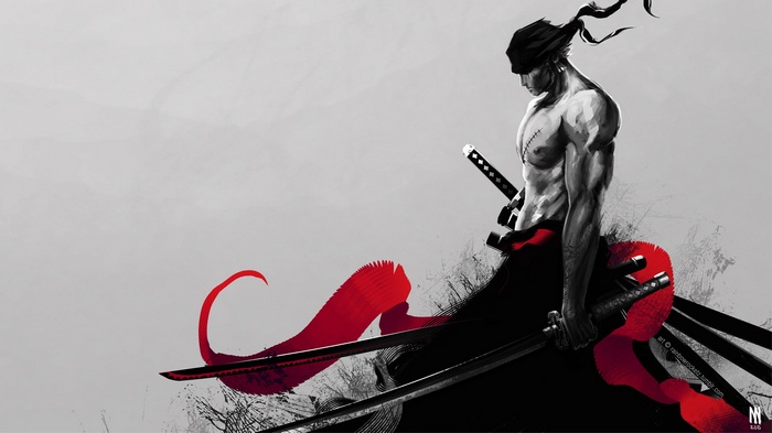 One Piece, Zorro