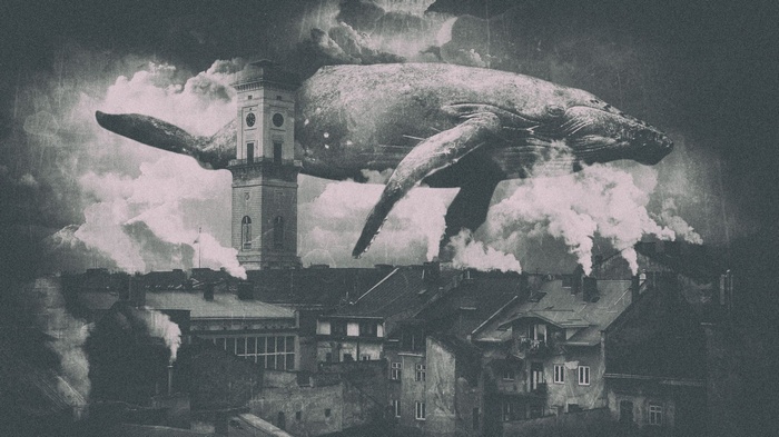 Whale flying over Lviv city with smoke
