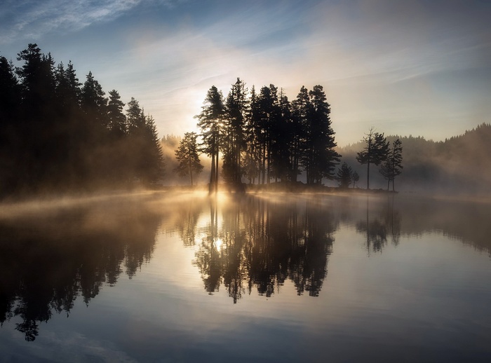 Misty lake with trees reflecting at sunrise