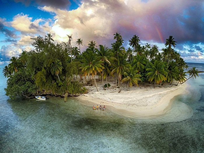 Tropical island with palm trees and a rainbow over the sea