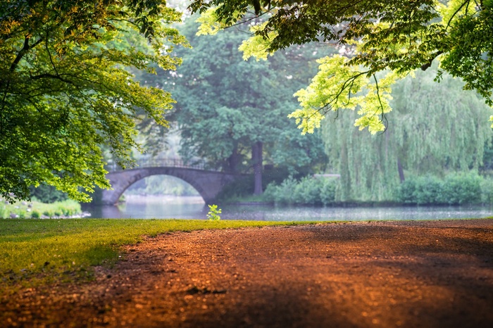 Park landscape with a stone bridge over a lake