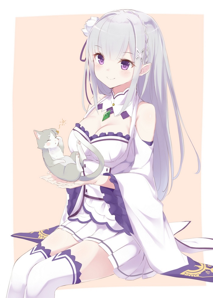 Emilia holding Puck from Re:Zero