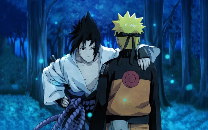 Naruto and Sasuke in a forest