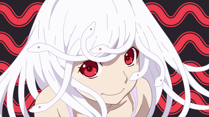 Sengoku Nadeko from Monogatari Series