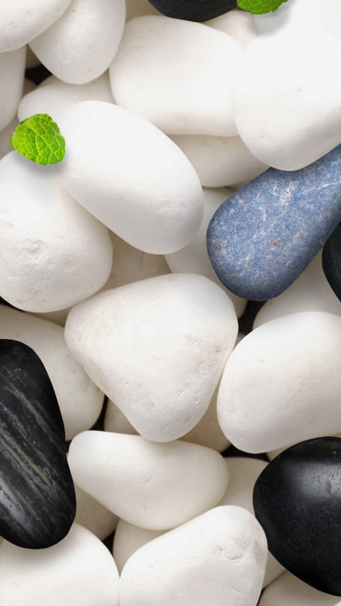 Minimalist composition of white, black, and blue stones with mint leaves