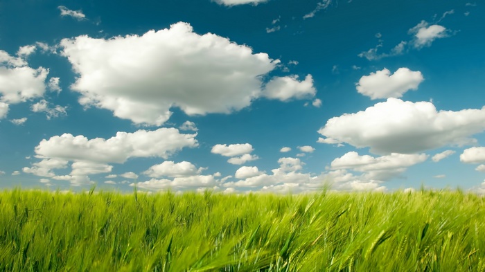 Green field under a blue sky with white clouds