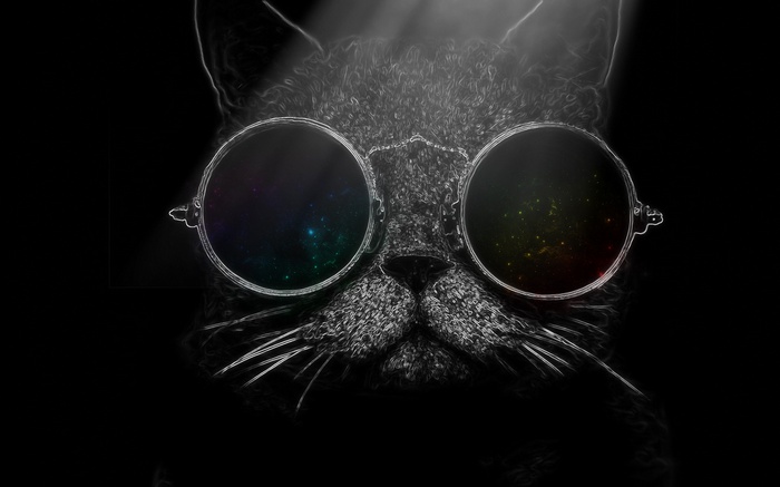 Cat wearing round sunglasses with colorful lenses