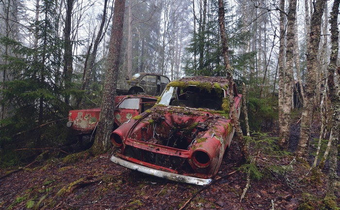 Abandoned red car wreck in a foggy forest