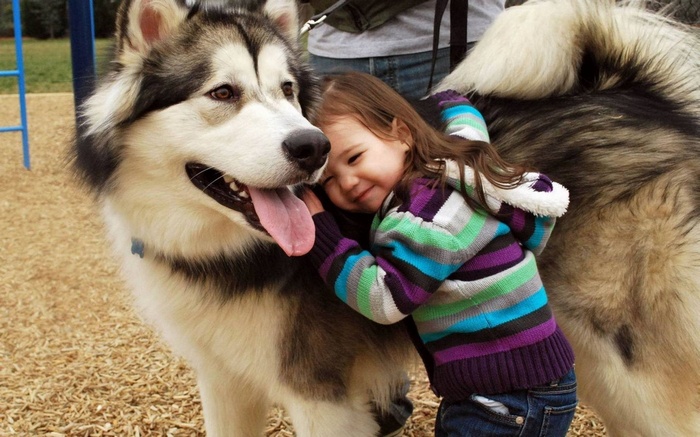 Little girl hugging a large dog