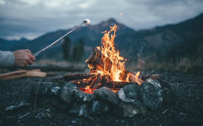 Roasting Marshmallow Over a Campfire at Dusk