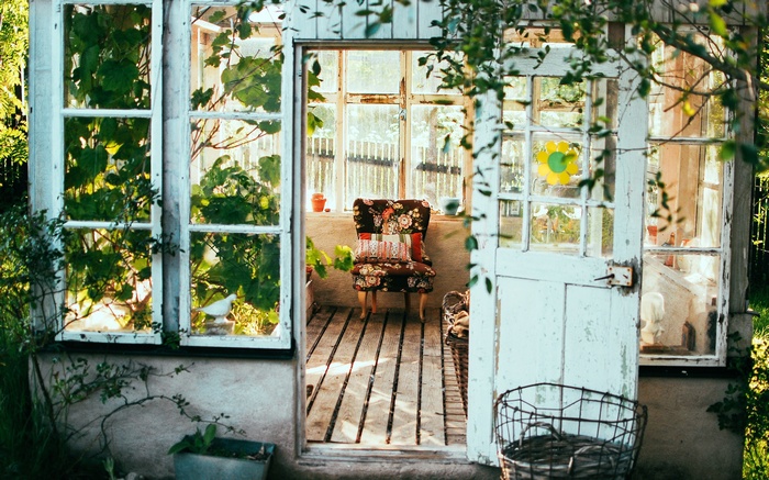 Greenhouse with floral chair and plants