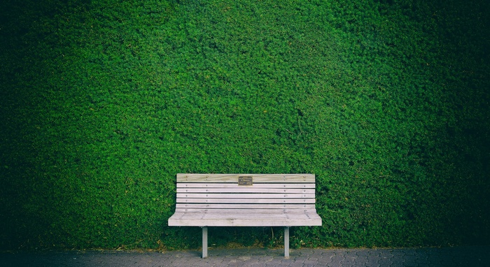 A wooden bench in front of a green hedge