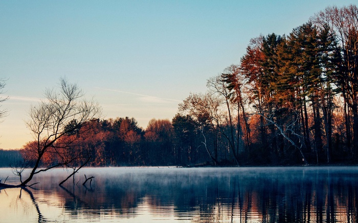 Misty lake with trees at sunrise