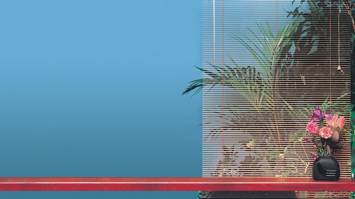Vaporwave aesthetic with plants and flowers