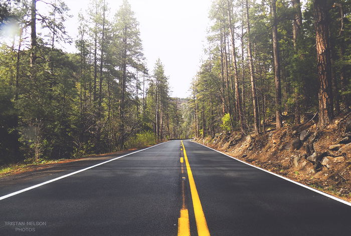 Road through a pine forest in Arizona