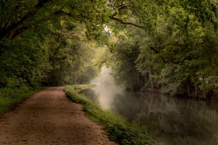 A dirt path alongside a canal surrounded by trees