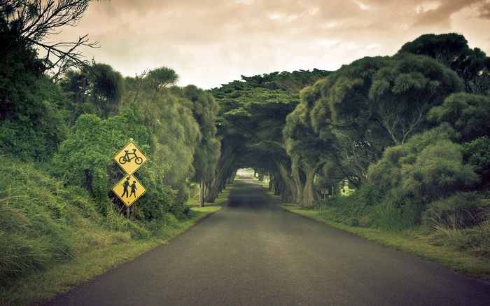 Road tunnel through trees with traffic signs