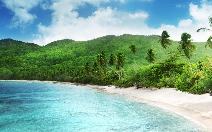 Tropical beach with palm trees and green mountains
