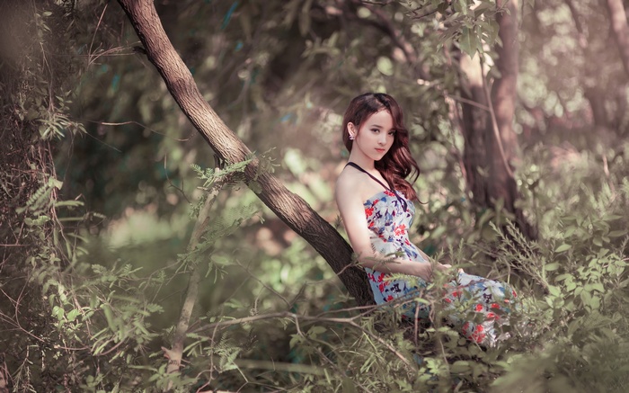 Asian woman in a floral dress sitting on a tree branch