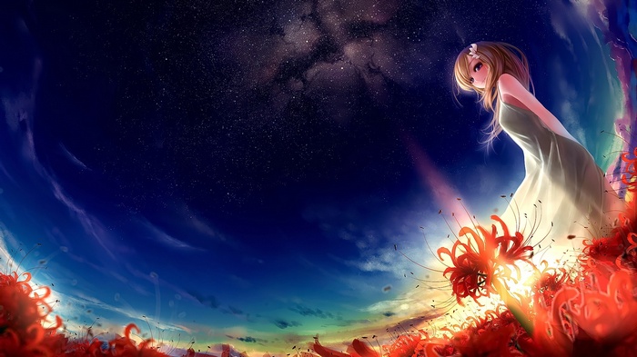 Anime girl in a field of red flowers under starry sky