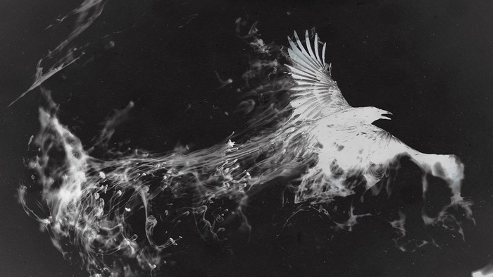 Monochrome eagle emerging from smoke