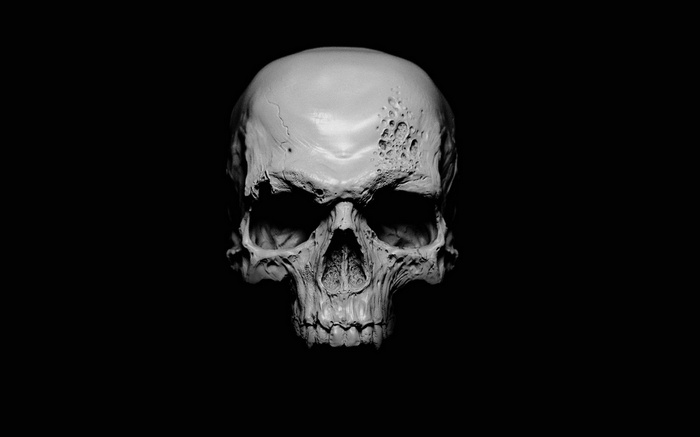 Monochrome skull on a black background