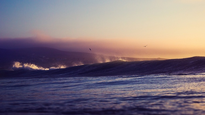 Ocean waves at sunset with birds flying