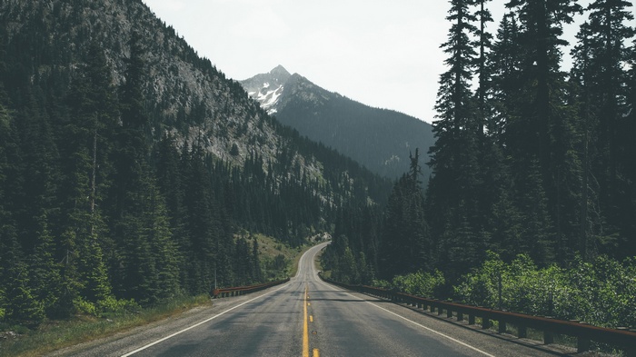Road through a forest and mountains