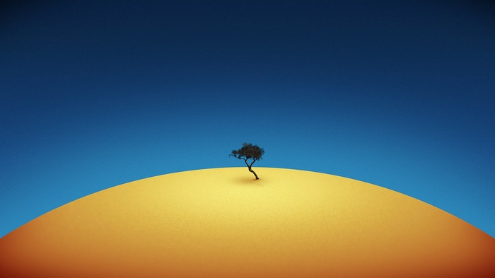 simple background, trees, minimalism