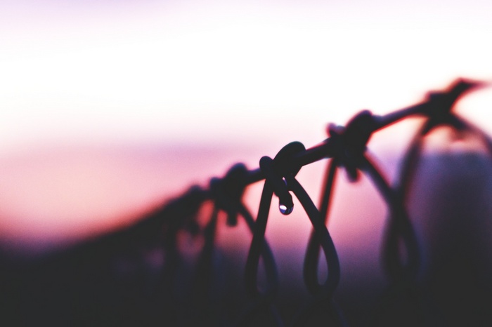 Barbed wire with water drop at sunset