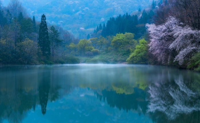Misty Spring Morning by a Lake in South Korea