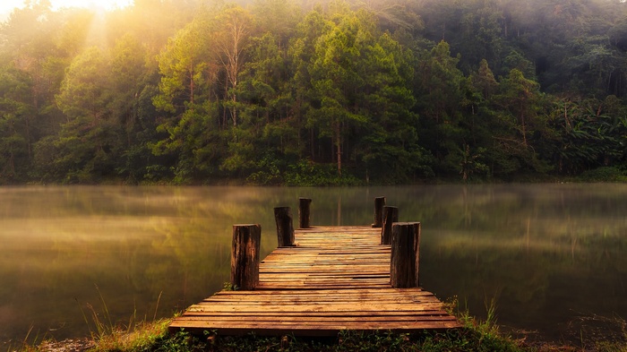 Wooden pier on a misty lake with a forest background