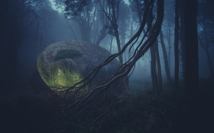 Mysterious glowing boulder in a foggy forest