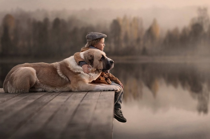 Boy and dog sitting on a dock by a misty lake