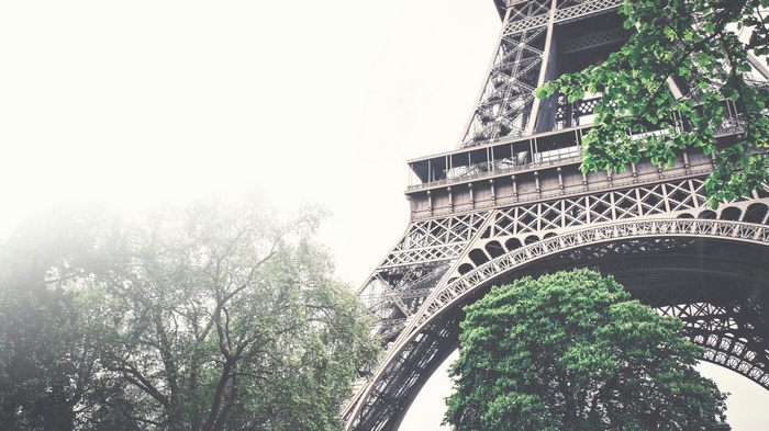 Eiffel Tower and green trees in Paris